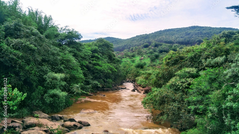 river in the forest