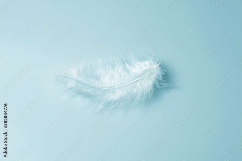 Close-up decorative bird feather. Abstract blue background. Close-up decorative bird feather. Abstract blue background.