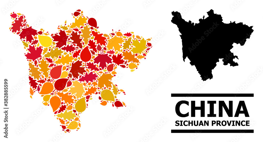 Obraz premium Mosaic autumn leaves and solid map of Sichuan Province. Vector map of Sichuan Province is shaped from random autumn maple and oak leaves. Abstract geographic plan in bright gold, red,