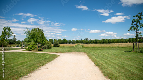  Path along the fields and tree alley