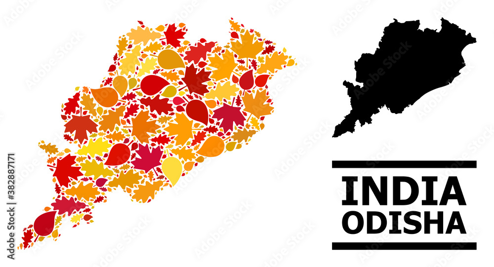 Mosaic autumn leaves and solid map of Odisha State. Vector map of Odisha State is made of scattered autumn maple and oak leaves. Abstract territorial plan in bright gold, red,