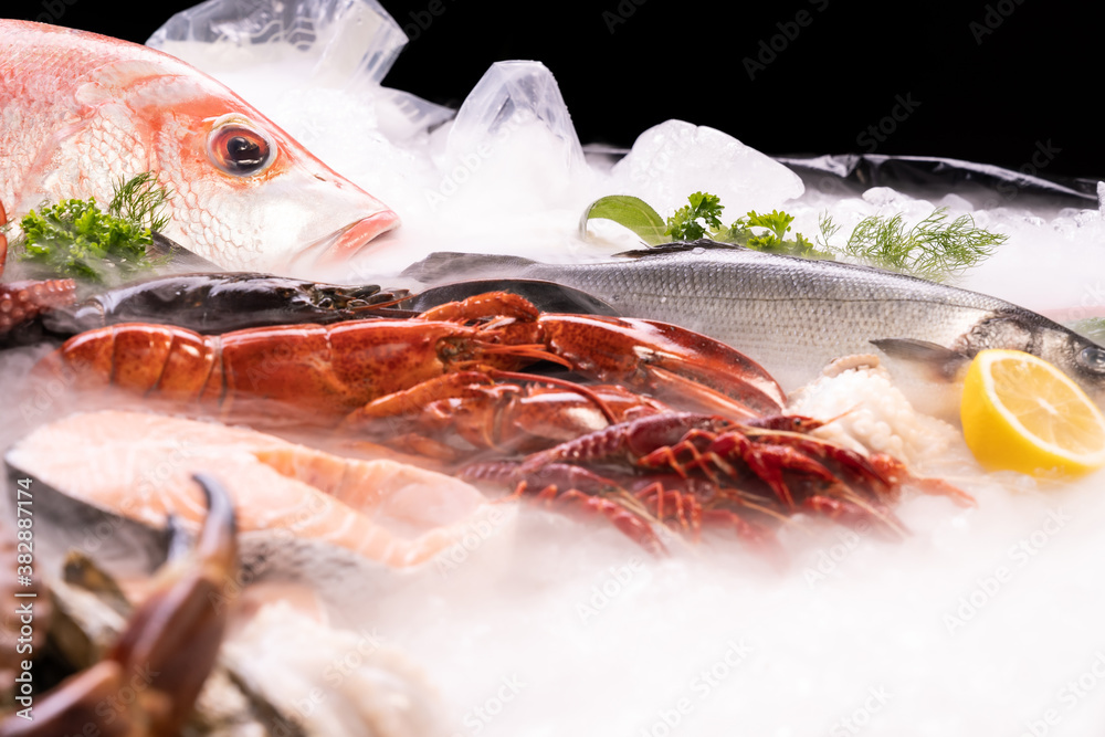 Side view fresh seafood on ice background with copyspae