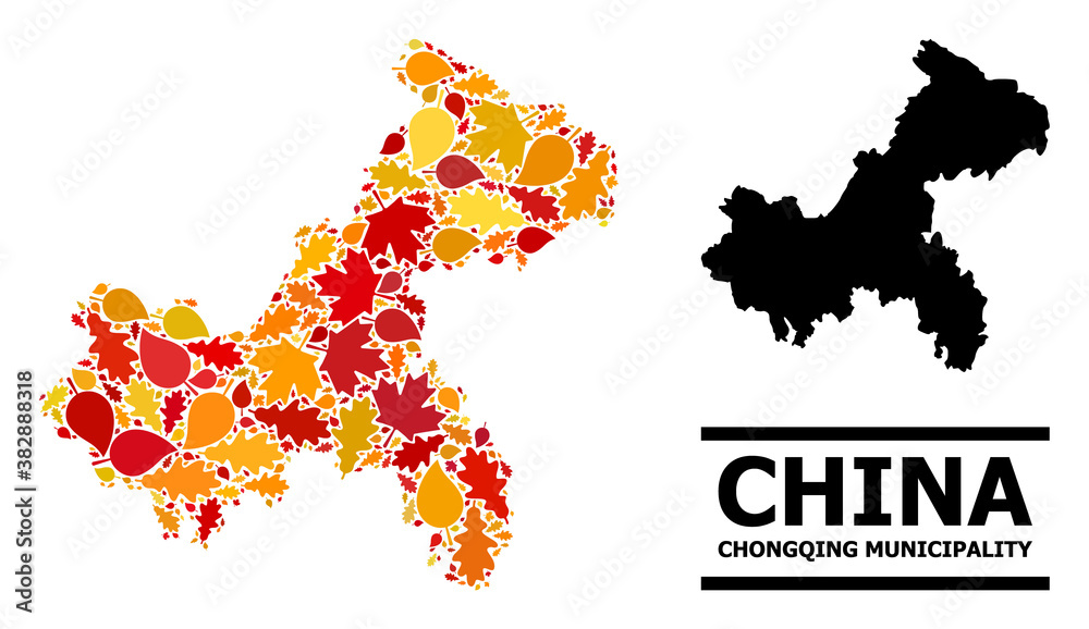 Mosaic autumn leaves and usual map of Chongqing Municipality. Vector map of Chongqing Municipality is created with randomized autumn maple and oak leaves. Abstract territorial plan in bright gold,