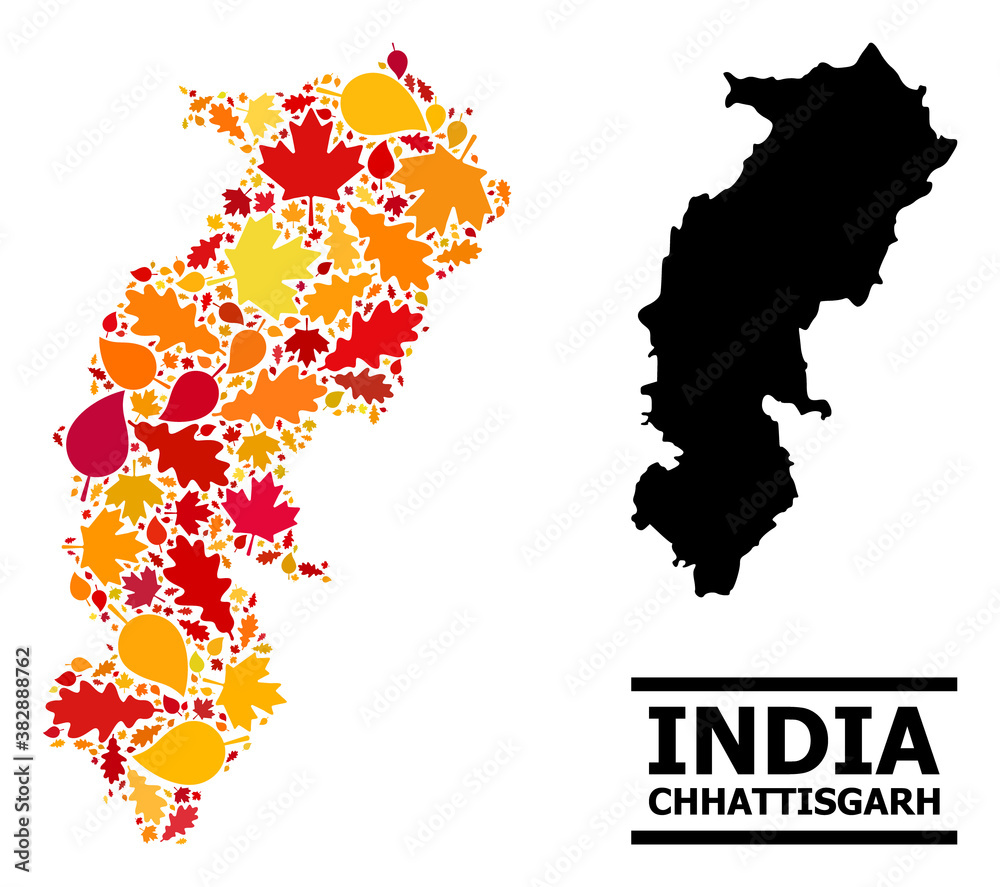 Mosaic autumn leaves and usual map of Chhattisgarh State. Vector map of Chhattisgarh State is formed from randomized autumn maple and oak leaves. Abstract territorial plan in bright gold, red,