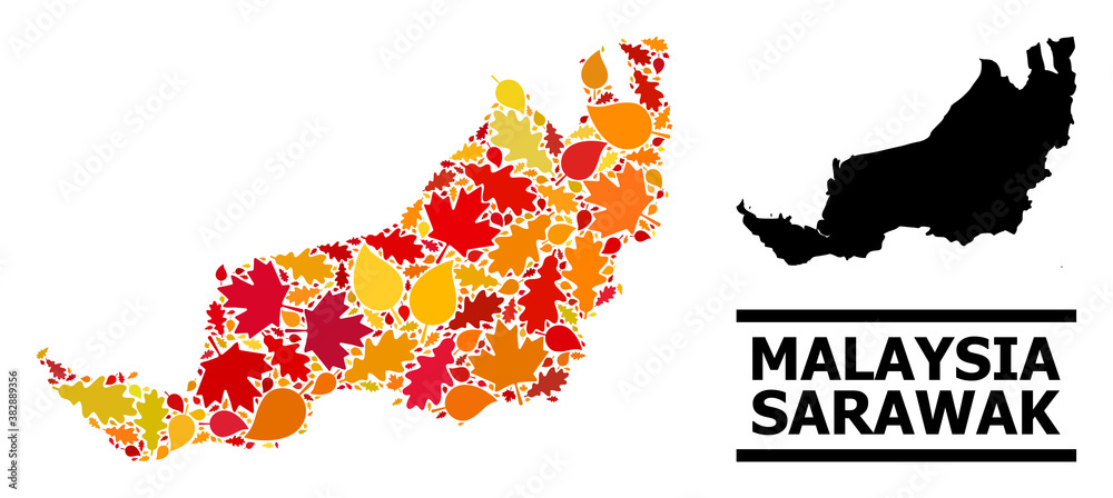 Mosaic autumn leaves and solid map of Sarawak. Vector map of Sarawak is ...
