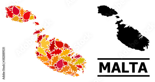 Mosaic autumn leaves and solid map of Malta. Vector map of Malta is done of randomized autumn maple and oak leaves. Abstract territorial plan in bright gold, red, brown colors for map of Malta.