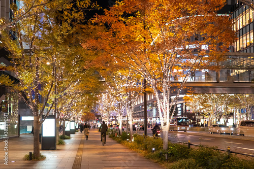 Japan. Autumn evening in To...