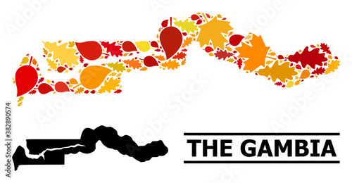 Mosaic autumn leaves and usual map of the Gambia. Vector map of the Gambia is formed of random autumn maple and oak leaves. Abstract territory scheme in bright gold, red,