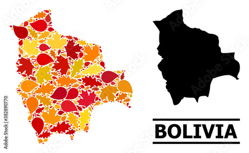 Mosaic autumn leaves and solid map of Bolivia. Vector map of Bolivia is designed of scattered autumn maple and oak leaves. Abstract territorial plan in bright gold, red,