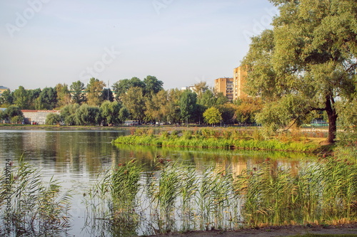 RUSSIAN FEDERATION, MOSCOW — SEPTEMBER 04, 2020. The landscape and environment of the Park Island of Dreams, a fragment.