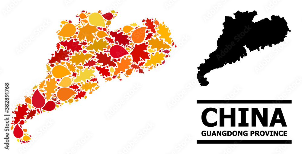 Obraz premium Mosaic autumn leaves and usual map of Guangdong Province. Vector map of Guangdong Province is designed of randomized autumn maple and oak leaves. Abstract territory scheme in bright gold, red,