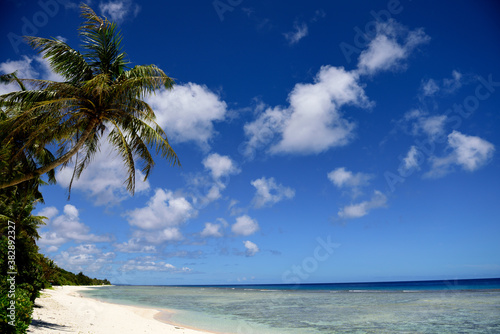 Fototapeta Naklejka Na Ścianę i Meble -  Tropical sandy beach with coconut trees and clear blue waters in Guam, Micronesia