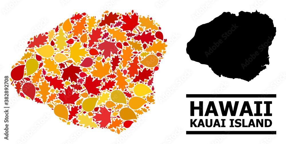 Obraz premium Mosaic autumn leaves and usual map of Kauai Island. Vector map of Kauai Island is organized with random autumn maple and oak leaves. Abstract territorial scheme in bright gold, red,