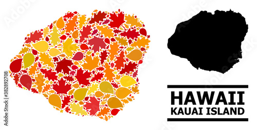 Mosaic autumn leaves and usual map of Kauai Island. Vector map of Kauai Island is organized with random autumn maple and oak leaves. Abstract territorial scheme in bright gold, red,