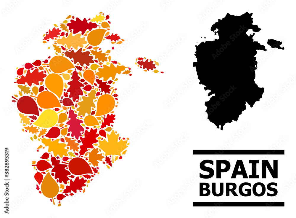 Mosaic autumn leaves and usual map of Burgos Province. Vector map of Burgos Province is made with randomized autumn maple and oak leaves. Abstract geographic scheme in bright gold, red,