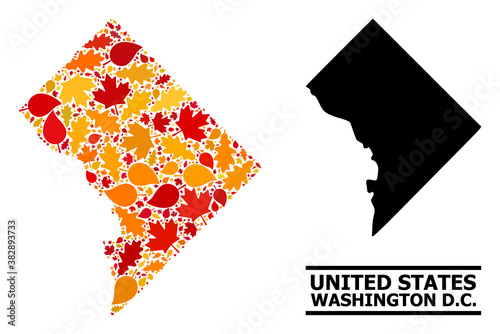 Mosaic autumn leaves and solid map of Washington DC. Vector map of Washington DC is constructed with random autumn maple and oak leaves. Abstract territory plan in bright gold, red,