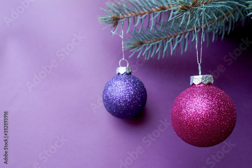 two round shiny purple and lilac Christmas balls are hanging on the Christmas tree on a lilac background . Christmas and new year symbols
