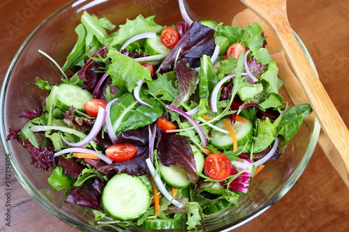 fresh organic vegetable salad