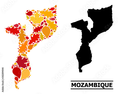 Mosaic autumn leaves and solid map of Mozambique. Vector map of Mozambique is organized from randomized autumn maple and oak leaves. Abstract geographic plan in bright gold, red,