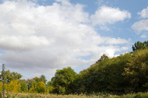 landscape with trees