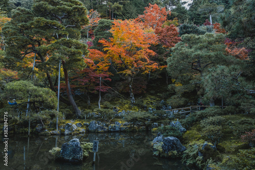 Fototapeta Naklejka Na Ścianę i Meble -  Ginkakuji Temple Garden