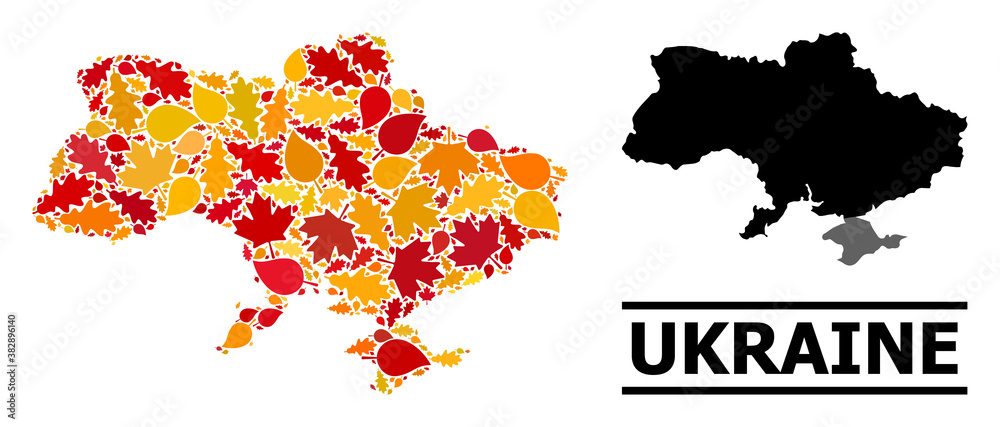 Obraz premium Mosaic autumn leaves and usual map of Ukraine. Vector map of Ukraine is organized from scattered autumn maple and oak leaves. Abstract territory plan in bright gold, red,