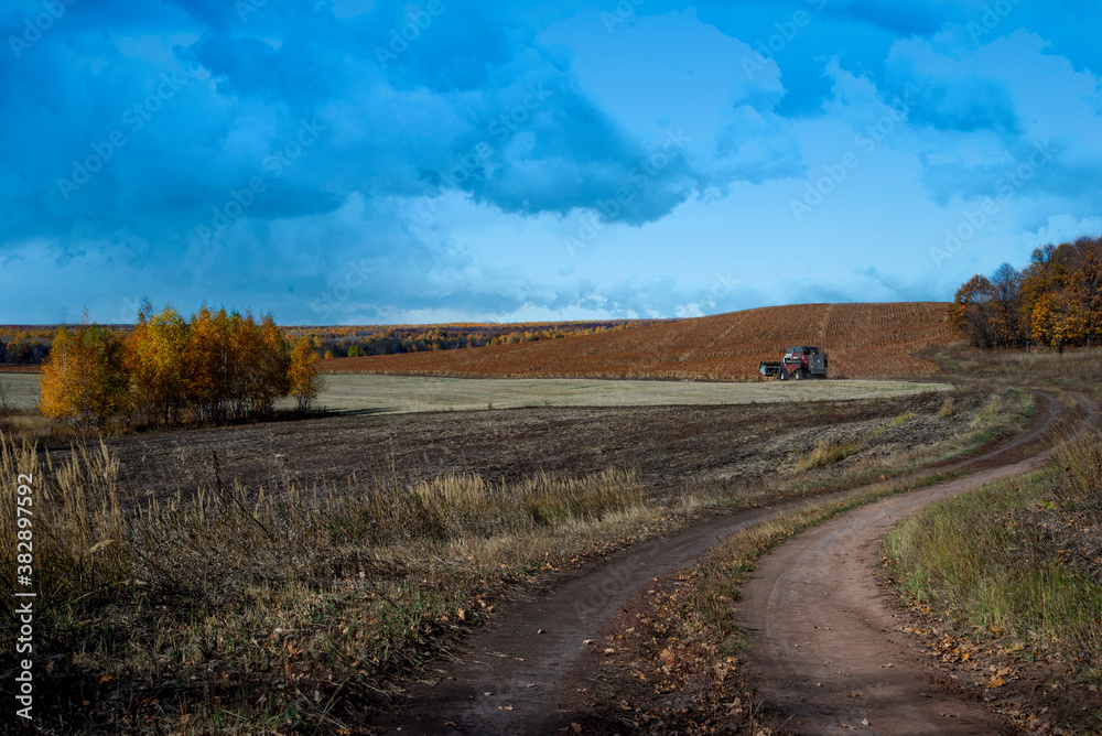 Naklejka premium country road in autumn