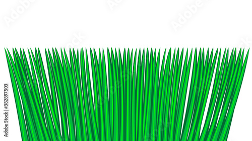 green grass seamless border, isolated over white, illustration