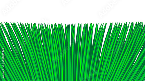 green grass seamless border, isolated over white, illustration