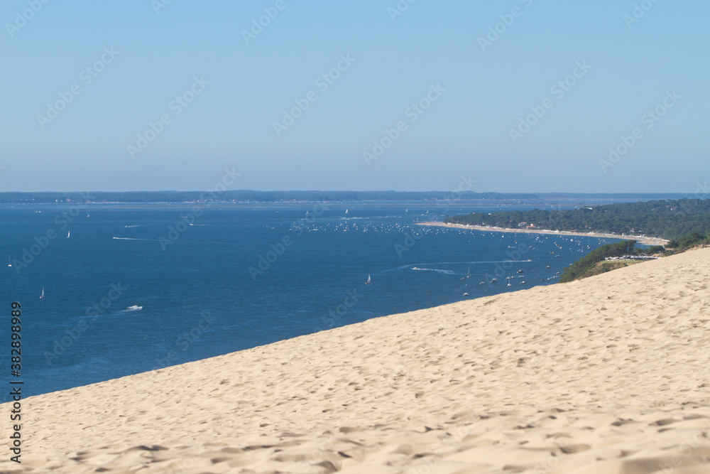 Obraz premium Water, trees and sand at the Dune of Pilat
