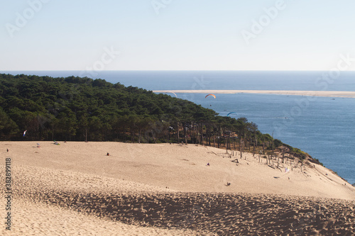 Water  trees and sand at the Dune of Pilat