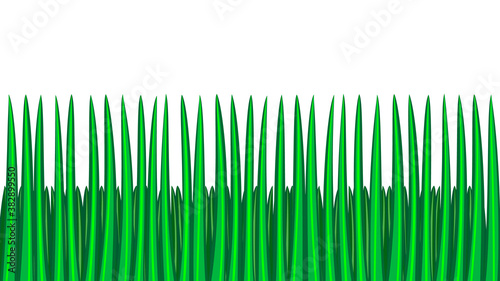 green grass seamless border, isolated over white, illustration