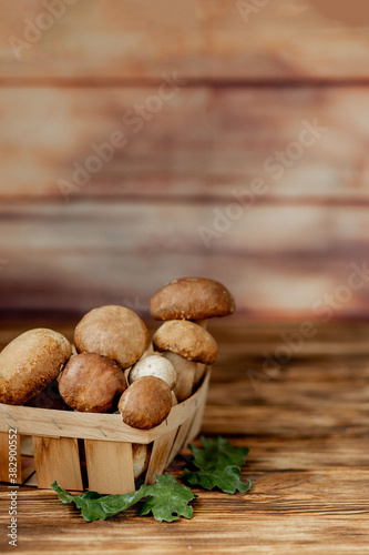 Mushroom Boletus over Wooden Background. Autumn Cep Mushrooms. Ceps Boletus edulis over Wooden Background, close up on wood rustic table. Cooking delicious organic mushroom. Gourmet food