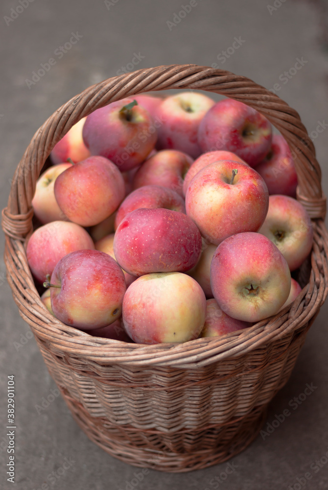 Fresh ripe red apples in a wicker basket. Autumn harvest Fresh ripe red apples in a wicker basket. Autumn harvest