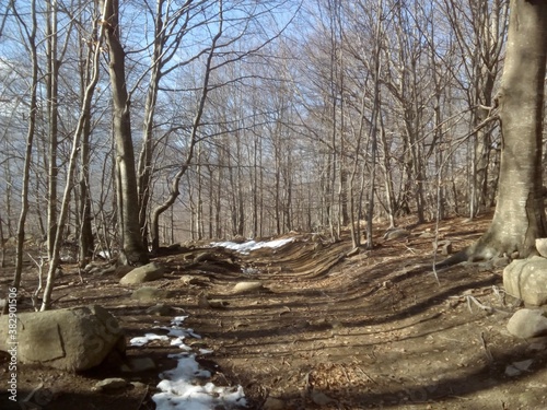 santa fe de montseny 2