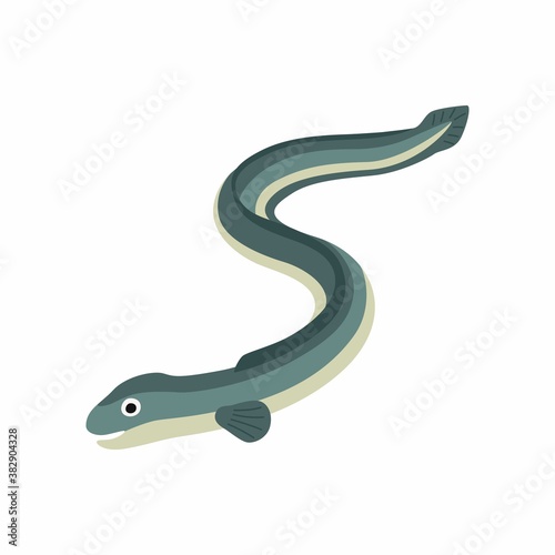 Eel fish. Vector illustration isolated on white background.