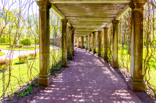 Pergola in private garden of Catherine park, Tsarskoe Selo (Pushkin), Saint Petersburg, Russia