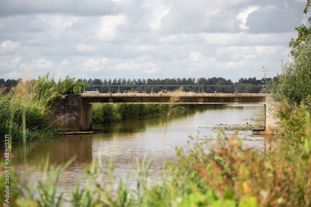 bewachsener Kanal mit Brücke in Holland, perfekt zum Angeln bewachsener Kanal mit Brücke in Holland, perfekt zum Angeln