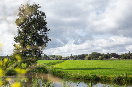 Blick auf die niederländische Landschaft mit Bauernhof im Hintergrund, Flachland, Sommer