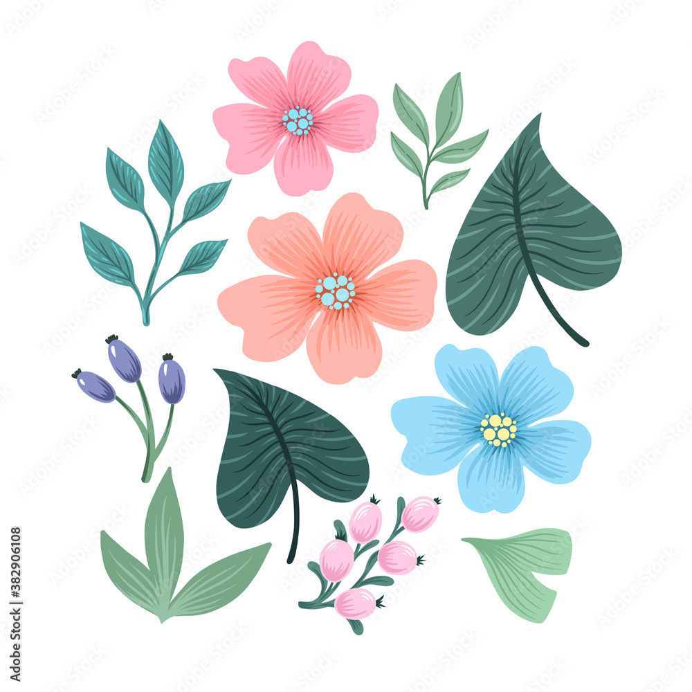 Botanical  illustration of floral elements.
