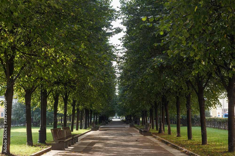 Tsvetnoy Boulevard in Moscow, Russia. Trees