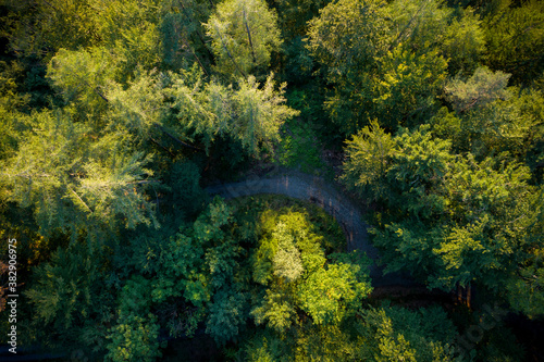 Drohnen Foto von Wald mit Bergstrasse in Abendsonne