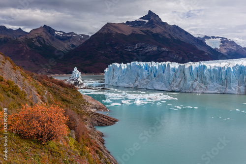 Perito Moreno glacier frozen ice field. Autumn Yellow trees. Lake Argentina. 