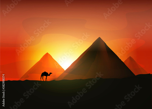 Camel near the Egyptian pyramids. Vector illustration