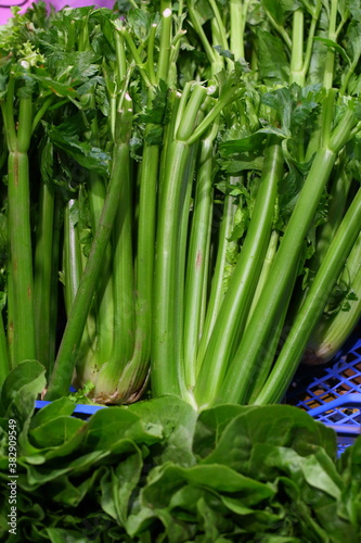 Celery. Celery stalks with leaves