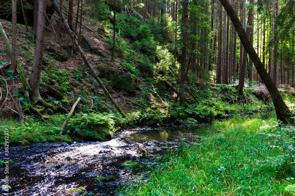 Fototapeta premium Wild summer Landscape around the Creek with Boulders and Rock in the Czech Switzerland, Czech Republic