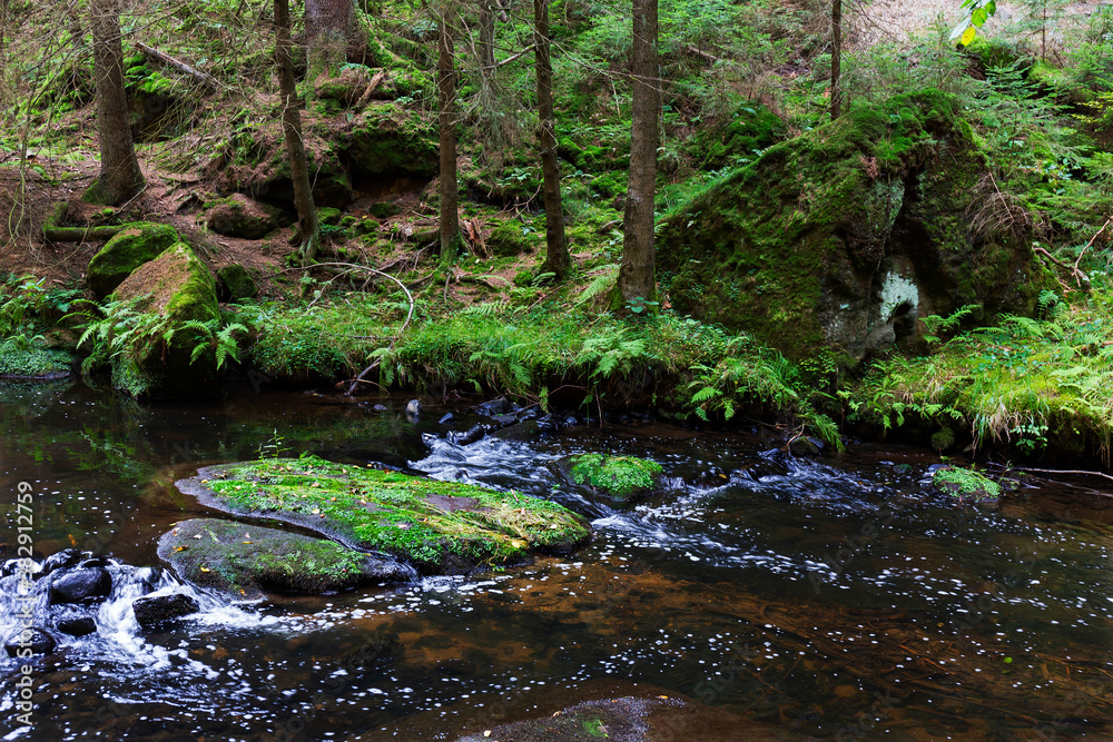 Wild summer Landscape around the Creek with Boulders and Rock in the Czech Switzerland, Czech Republic Wild summer Landscape around the Creek with Boulders and Rock in the Czech Switzerland, Czech Republic