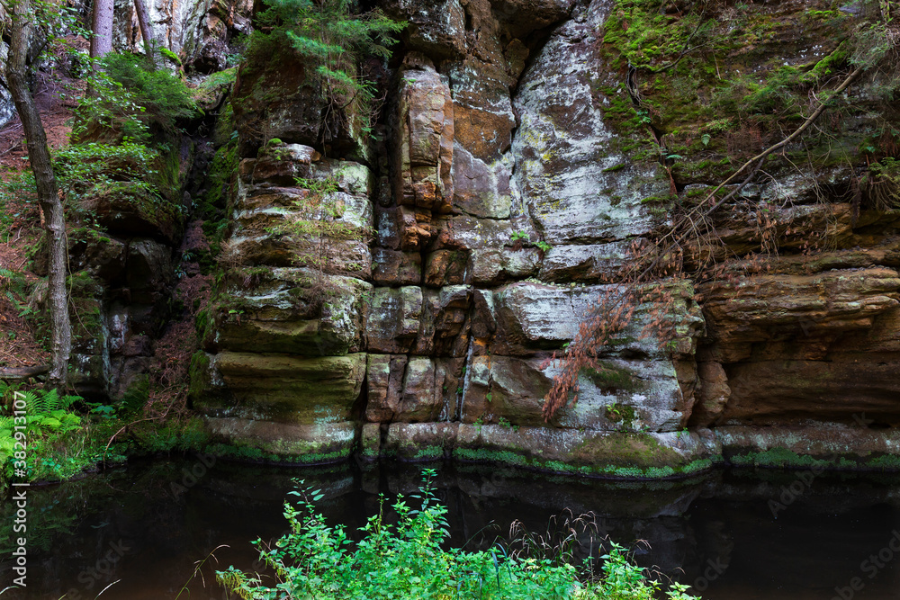 Wild summer Landscape around the Creek with Boulders and Rock in the Czech Switzerland, Czech Republic Wild summer Landscape around the Creek with Boulders and Rock in the Czech Switzerland, Czech Republic