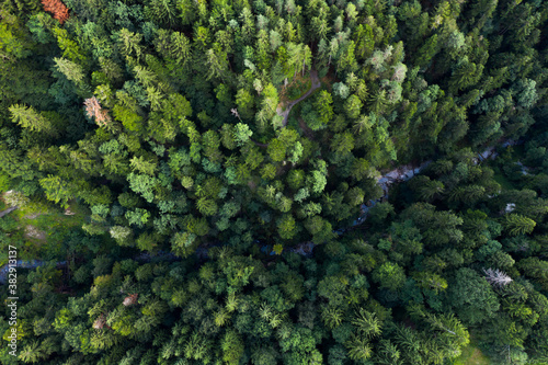 Drohnenaufnahme von Wald und Bach in den Bergen. 