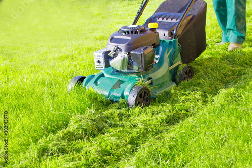 Worker with lawnmower  mows green grass. Mulching the grass at backyard. Lawn mover is cutting  green grass in garden. Machine for cutting lawns. the gardener with a walk-behind mower
